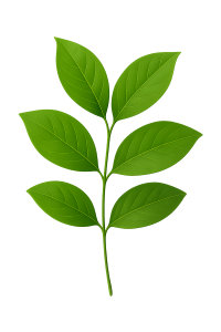 greenwashed and loving it leaf greenwashed and loving it leaf